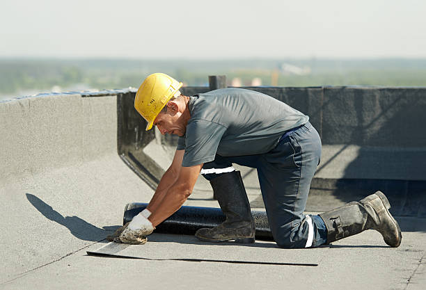 Best Cellulose Insulation in Myrtletown, CA
