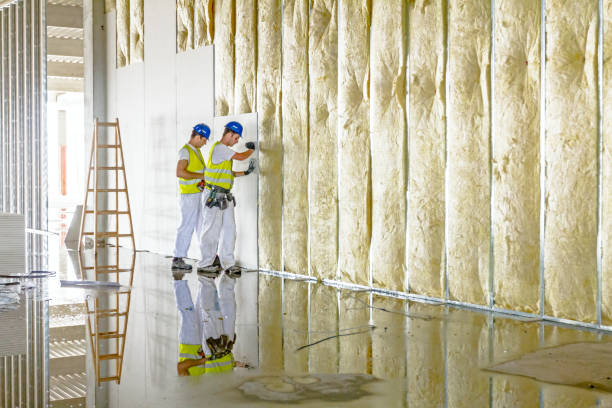 Best Eco-Friendly Insulation in Myrtletown, CA